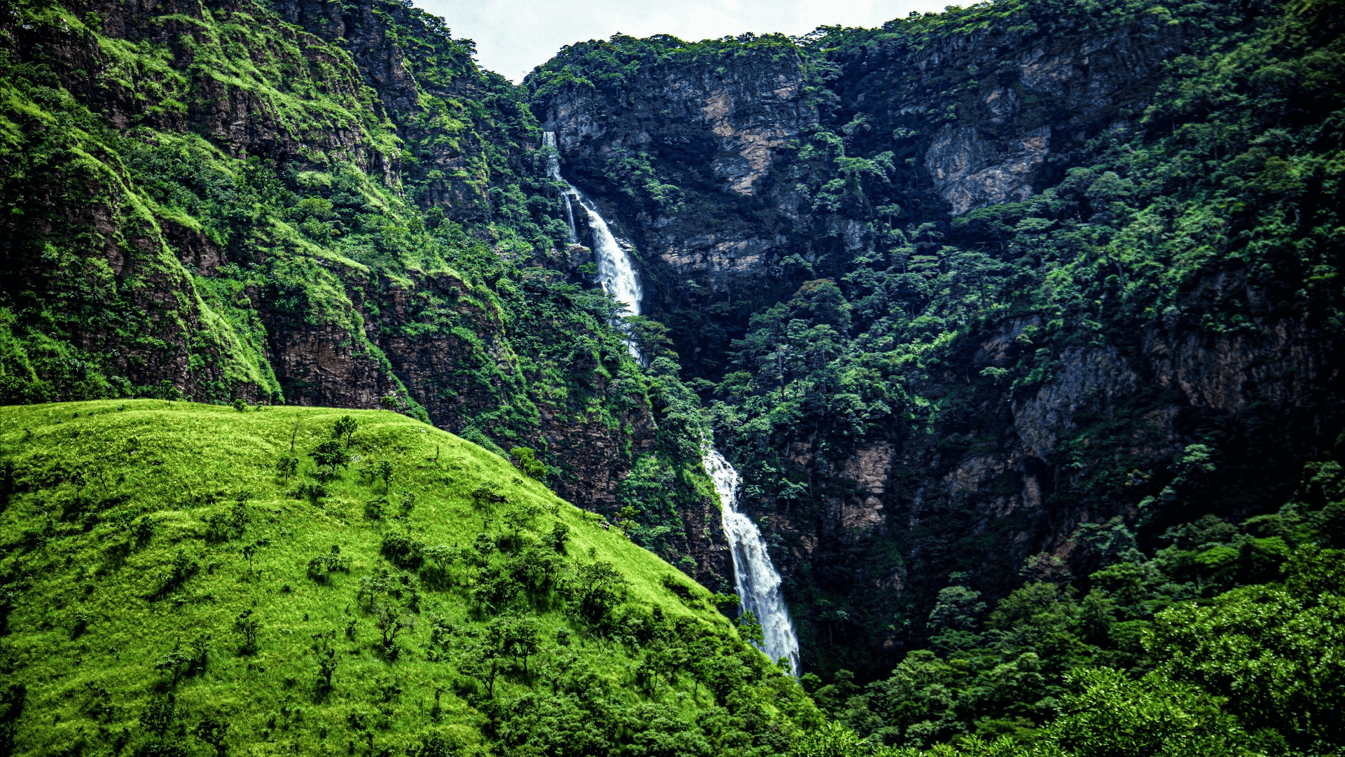 Wli Water Falls